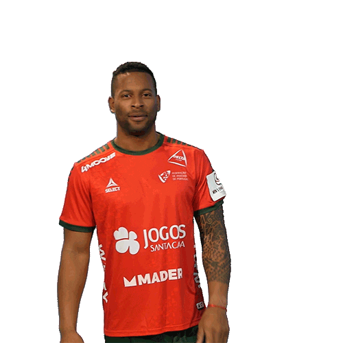 Letsgovamos Sticker by Federação de Andebol de Portugal