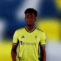 Major League Soccer Football GIF by Nashville SC
