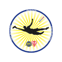 Layout Guetersloh Sticker by TV Verl - Ultimate Frisbee