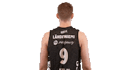 Sport Basketball Sticker by Basket_fi