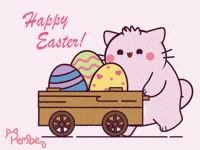 Easter Bunny Cat GIF by Pembe