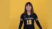 Cal State La Ncaa GIF by Cal State LA Golden Eagles