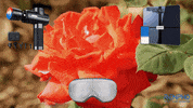 Valentines Day Love GIF by RENPHO