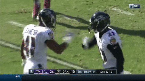 happy national football league GIF by Baltimore Ravens