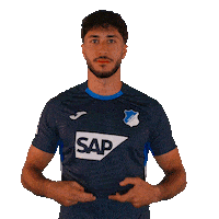 Sport Bundesliga Sticker by TSG Hoffenheim