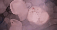 sound of a woman GIF by Kiesza