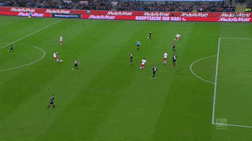 jhon cordoba soccer GIF by 1. FC Köln