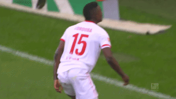 1 fc cologne football GIF by 1. FC Köln
