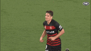 High Five Western Sydney Wanderers GIF by wswanderersfc