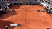 irina begu GIF by WTA