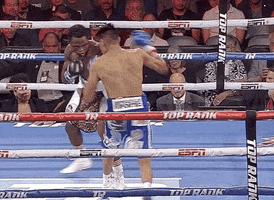 toprank fight fighting espn fighters GIF