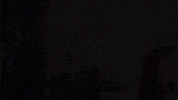 texas GIF