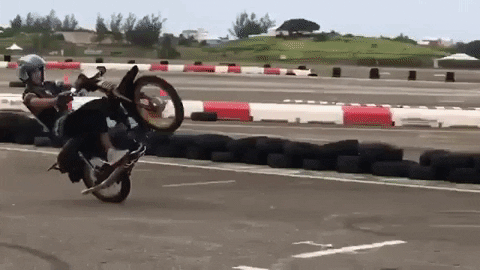 Wheelie Bermuda GIF by Bermemes