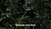discoveryeurope adventure discovery channel gold rush parkers trail GIF