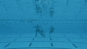 too late pool GIF by Half The Animal