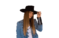 alliwalker hello singer hat country music Sticker