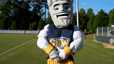Number 1 Winner GIF by Georgia Southwestern State University