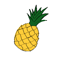 Pineapple Fairtrade Sticker by Fairtradeoriginal