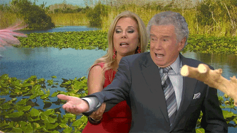 today show GIF