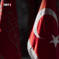 19 Mayıs Turkey GIF by TRT