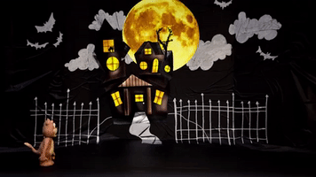 halloween fiupanthers GIF by FIU
