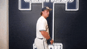 Georgia Tech Baseball GIF by Georgia Tech Yellow Jackets
