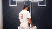 Georgia Tech Baseball GIF by Georgia Tech Yellow Jackets