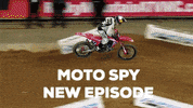 redbull  GIF
