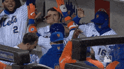 Happy Ny Mets GIF by New York Mets