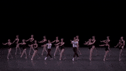 dance the four temperaments GIF by New York City Ballet