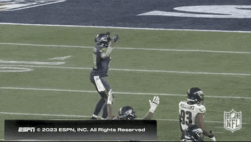 National Football League GIF by NFL