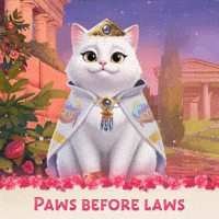 White Cat Smile GIF by G5 games