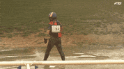 Horse Love GIF by FEI Global
