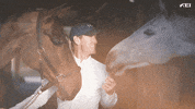 Horse Love GIF by FEI Global