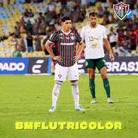 Fluminense GIF