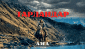 mirasaitarlandar sarauenkztarlandar GIF