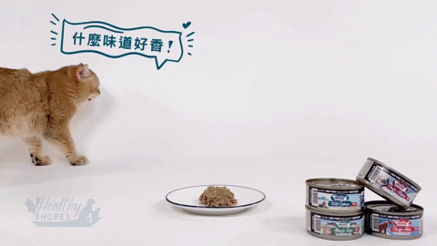 wpet giphyupload GIF