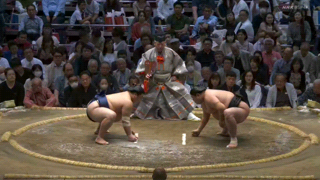 TZ85 giphyupload GIF