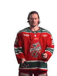 Hockeyallsvenskan Sticker by MoDo Hockey