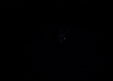 Halsey GIF by Machine Gun Kelly