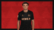 Football Sport GIF by Bundesliga