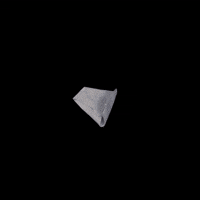 hafizmaha cat cats GIF