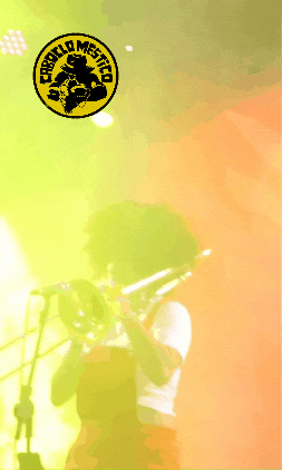 Coco Nordeste GIF by Caboclo Mestiço