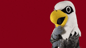 uwlacrosse thinking hmm hmmmmmm uwl GIF