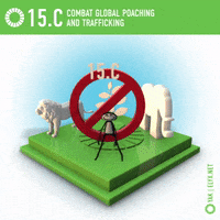 Lion Poaching GIF by ELYX