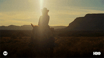 season 2 ww GIF by Westworld HBO