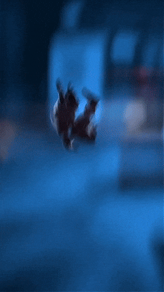 Break It Down Five Nights At Freddys GIF