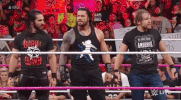 GIF by WWE
