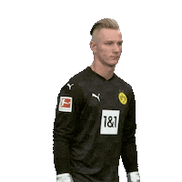 Posing Line Up Sticker by Bundesliga