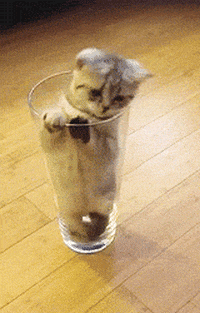 hmph GIF